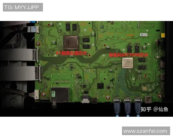 排球装备选购指南:如何选择适合的排球鞋推荐与注意事项 排球装备选购指南:如何选择适合的排球鞋推荐与注意事项