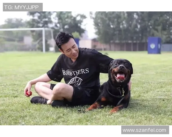 巴西警犬足球明星的传奇故事与训练背后的秘密揭秘