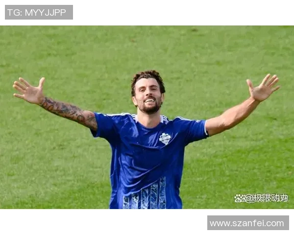 法国足球明星在赛场上的忐忑心情与背后的故事揭秘 法国足球明星在赛场上的忐忑心情与背后的故事揭秘