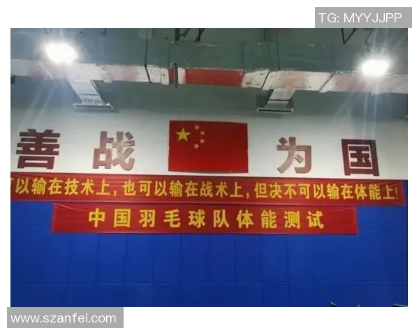 南京羽毛球队战术表现深度数据分析与策略优化研究